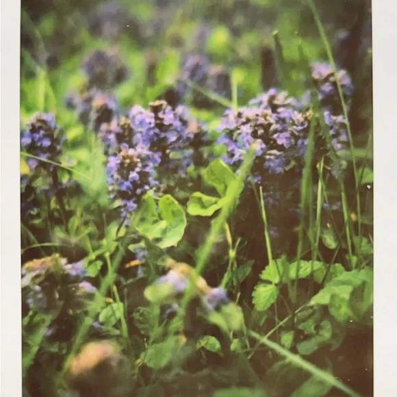 Hello! - Picture 6 of 11